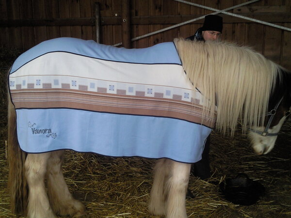 Abschwitzdecke