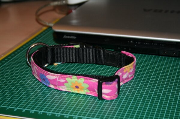 Gepimptes Hundehalsband