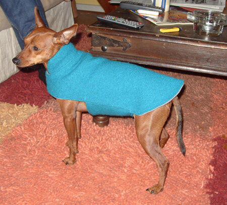 Hundemantel