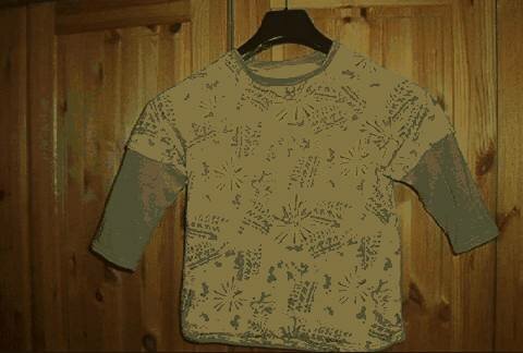 Langärmeliges Shirt aus BizzKids