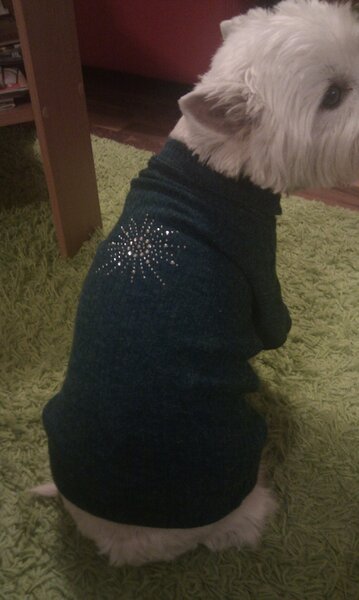 Emma´s neuer Pulli