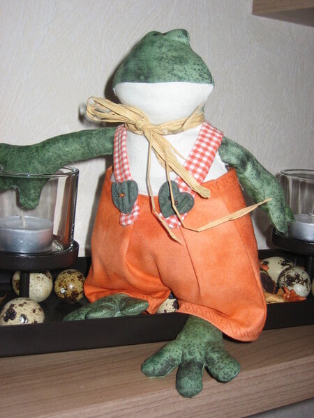 Frosch nach Tildas Sommerwelt