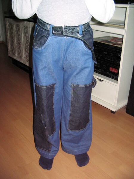 Roos 2095