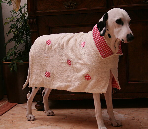 Hundemantel für kalte Stunden