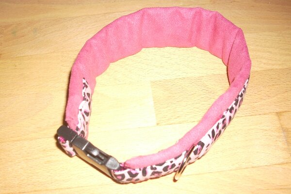 Leo-Hundehalsband