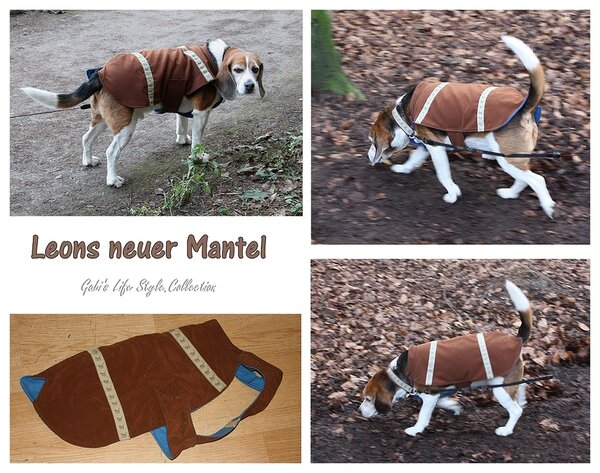 Hundemantel