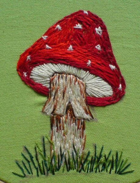 Mein kleiner Pilz