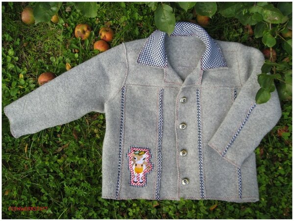 Walkjanker trifft Jeansjacke