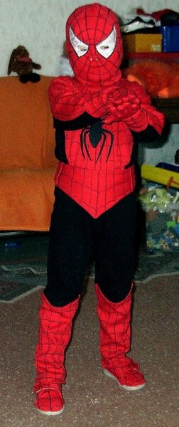 Spiderman von Swetlana...