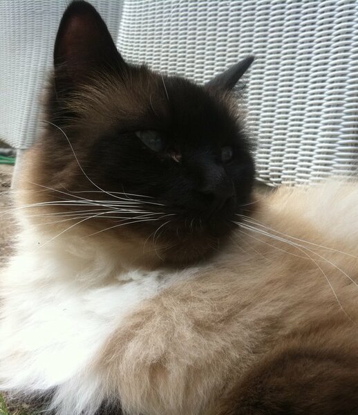 Oskar