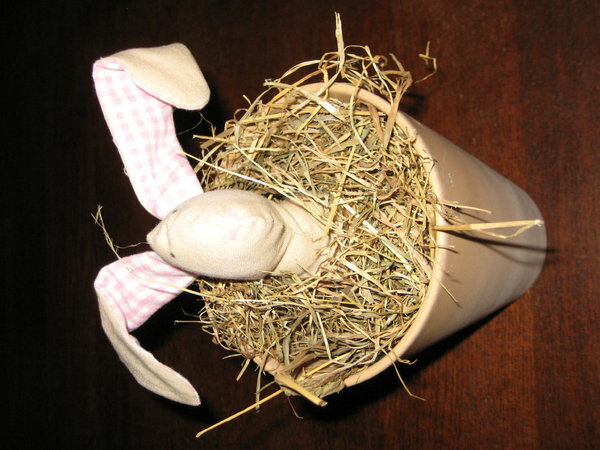 Osterhase