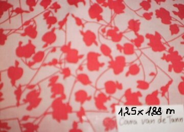 PICT0142