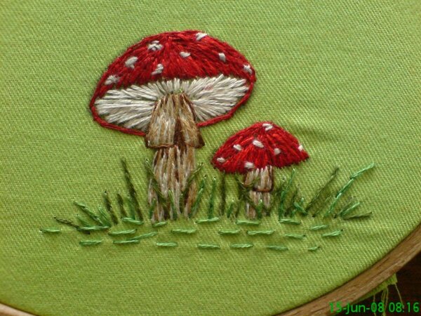 Murmeln und Pilze