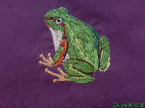Kleiner Frosch