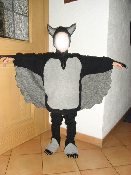 Die kleine Fledermaus