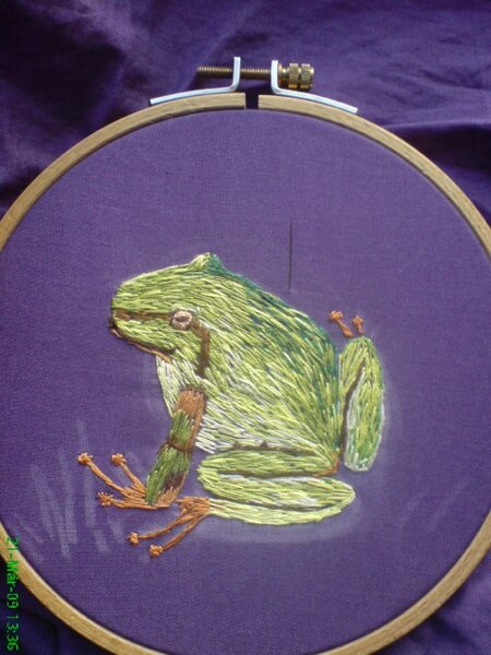 Der dicker Frosch