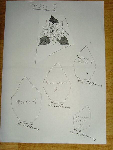 Blüte 1