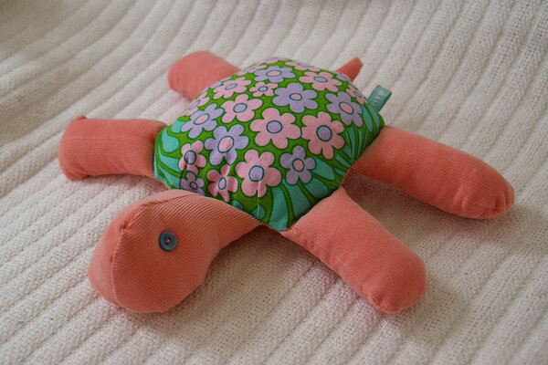 Schildkröte Ilse