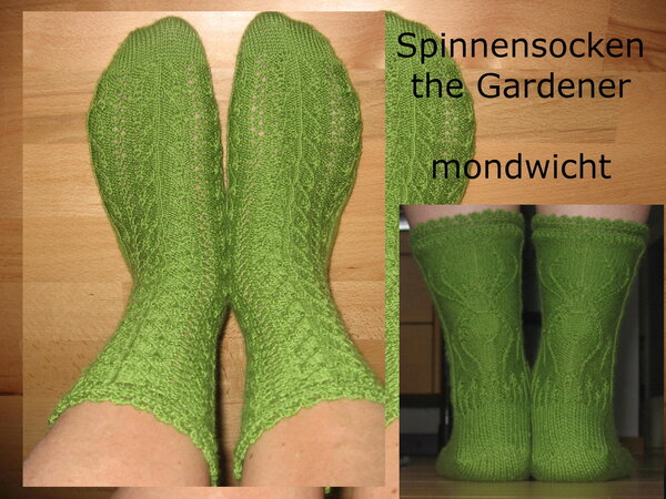 Spinnensocken