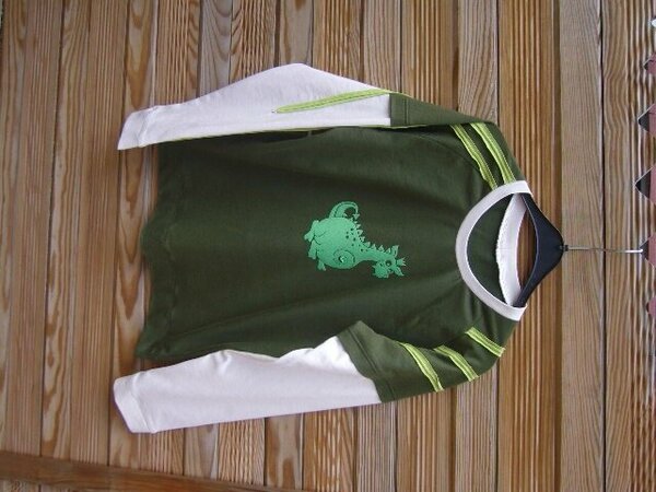 Sweater für Buben,