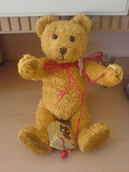 Auch Teddys kann ich schon !