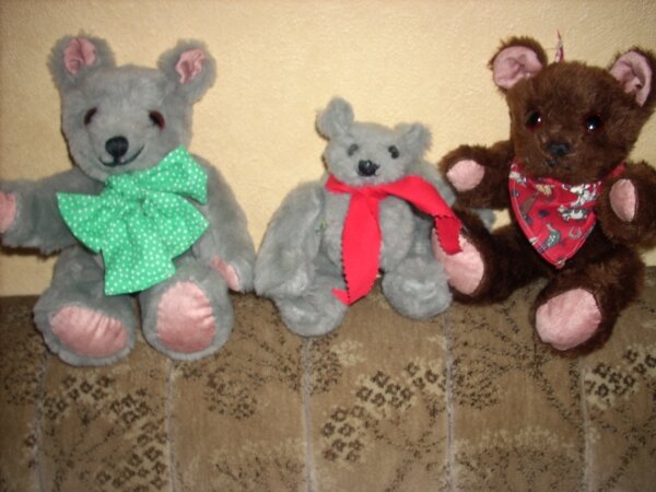 Teddyfamilie