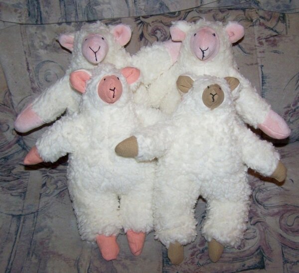Schafe im Viererpack