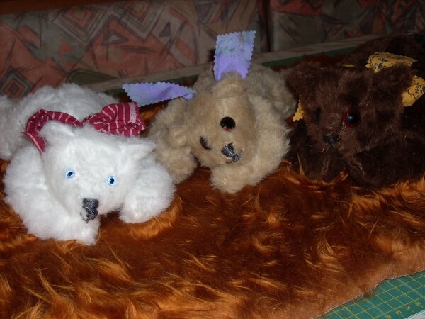 Teddy Trio