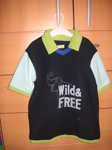 Wild & Free