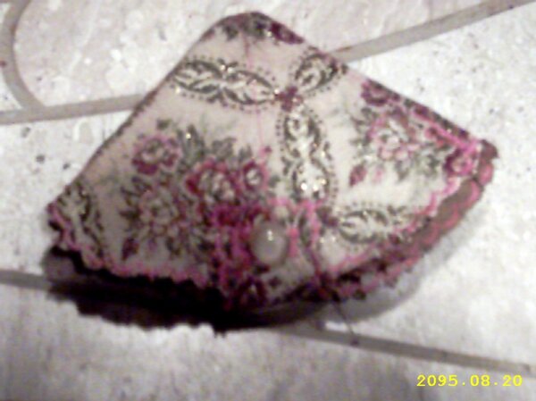 nadelkissenblume geschlossen
