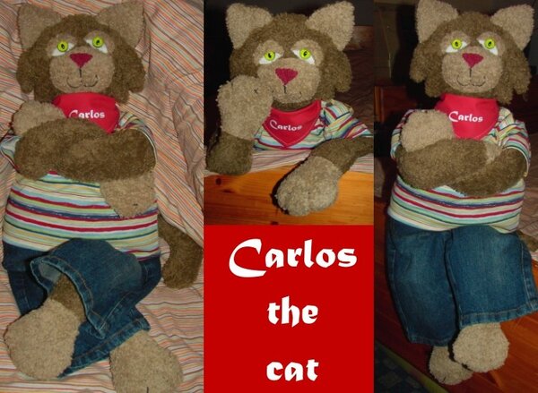 Carlos the cat