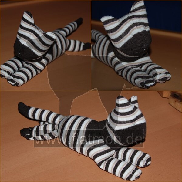 Sockentierkatze