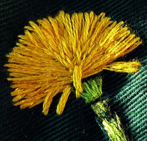 dandeldetail