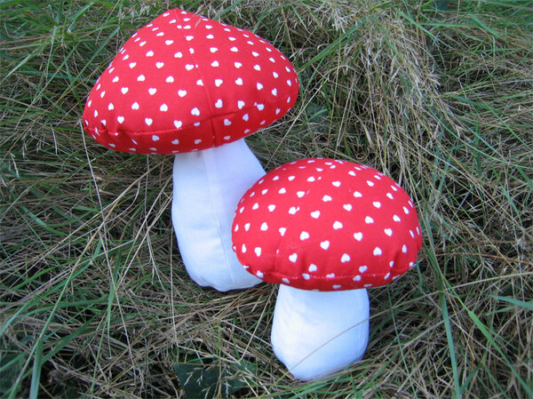 Fliegenpilz mit Herzchen