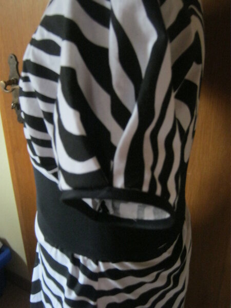 Zebrakleid