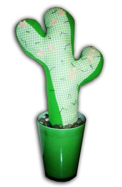 mein kleiner Grüner Kaktus
