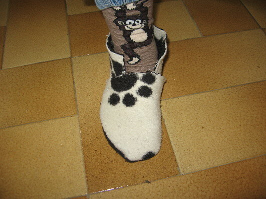 probeschuh