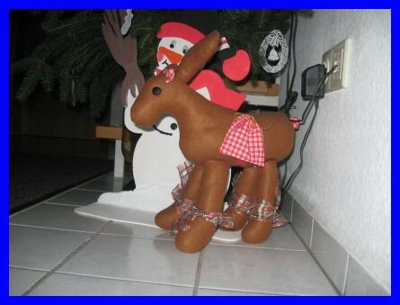 unser "Rudolph" ist eingezogen