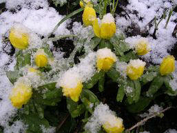 winterzeit1