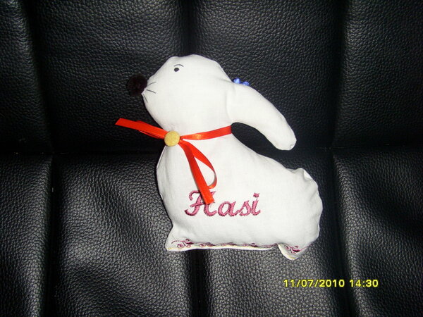 Hasi