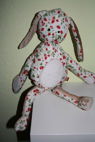 Hasi