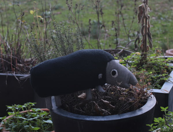Schwarzes Schaf